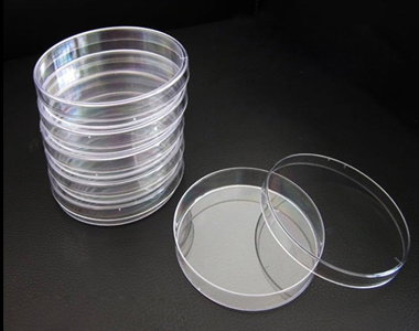 Cylindrical Horizontal Autoclave